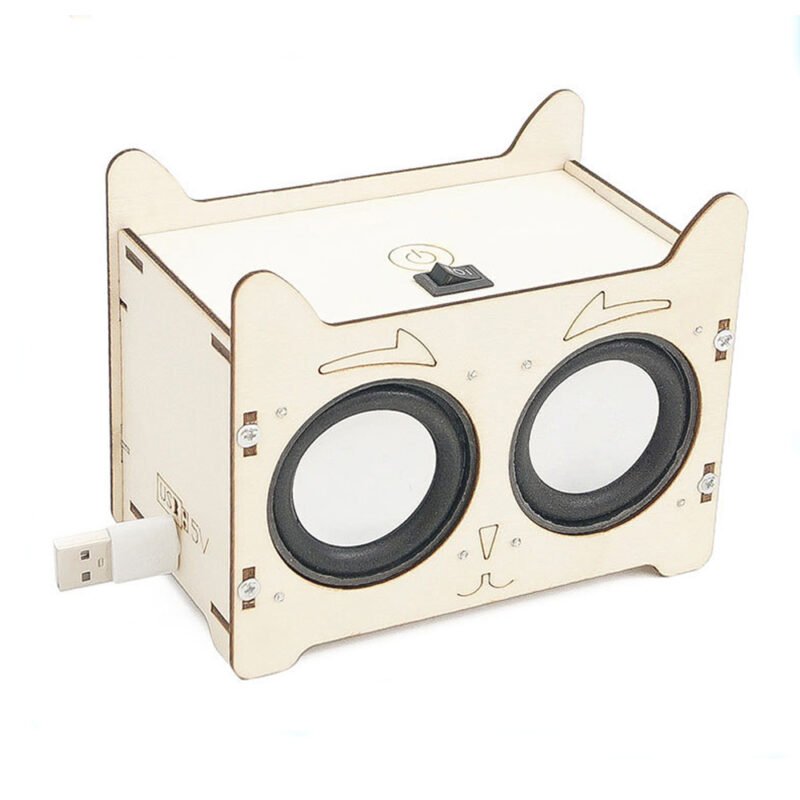 Child-built wooden Bluetooth Speaker STEM engineering kit with wireless connectivity and USB charging.