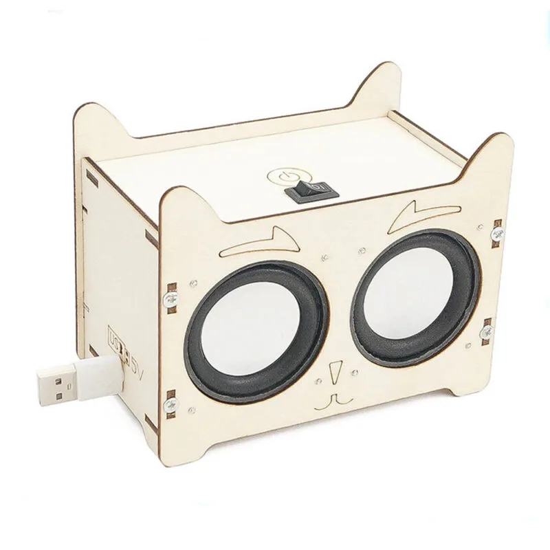 Child-built wooden Bluetooth Speaker STEM engineering kit with wireless connectivity and USB charging.