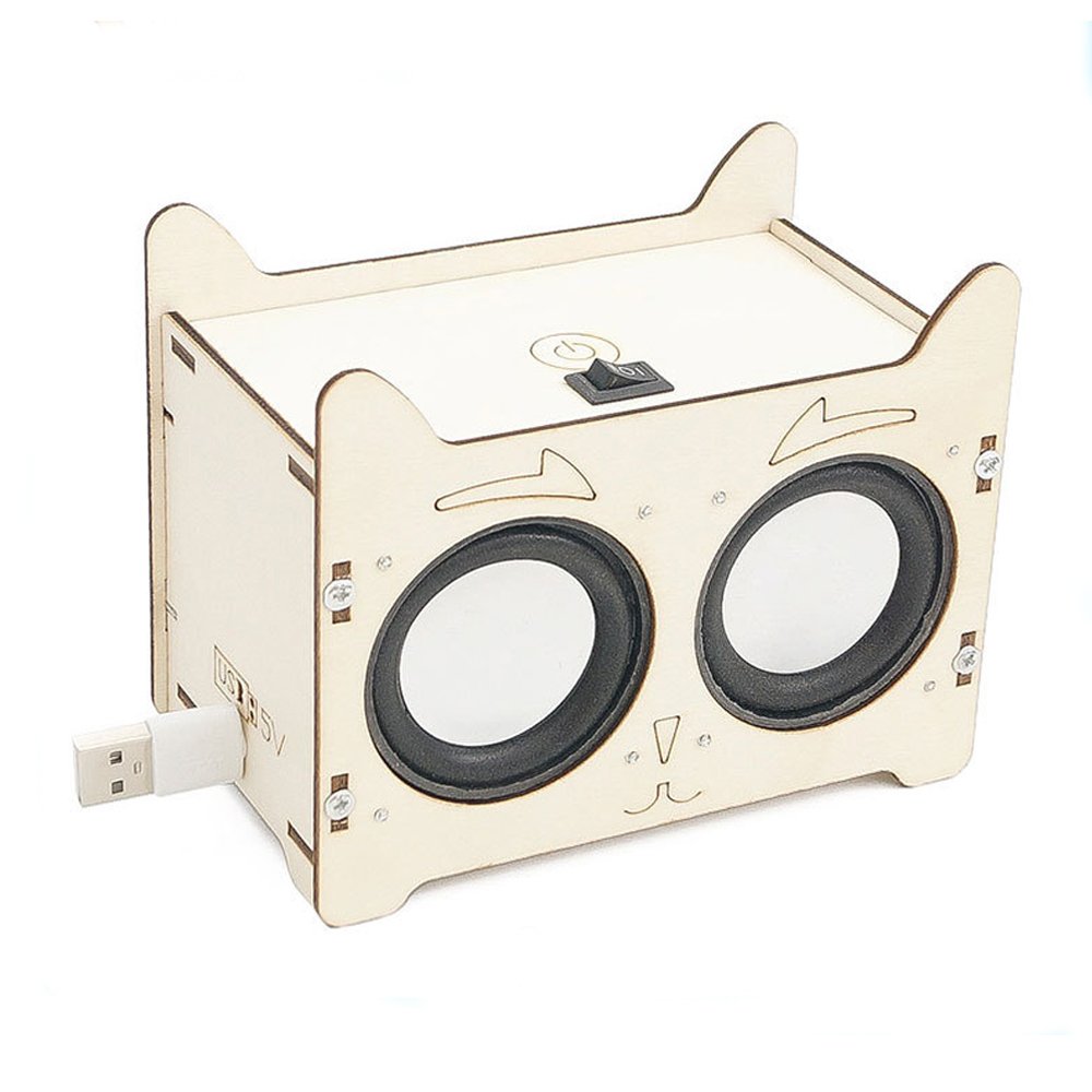 Child-built wooden Bluetooth Speaker STEM engineering kit with wireless connectivity and USB charging.